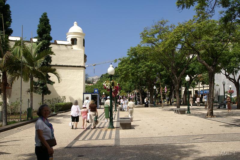 DSC04428.JPG - Avenida Arriega et l'arrière du palais São Lourenço