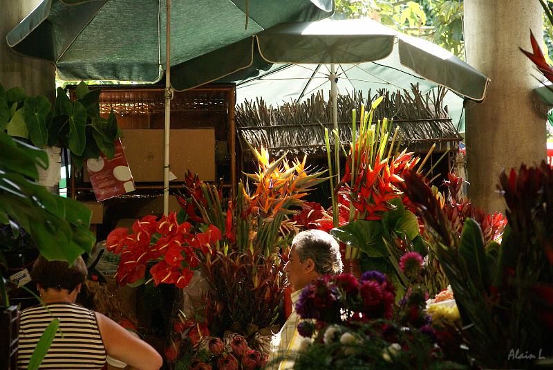 DSC04828.JPG - Le Mercado dos Lavradores est haut en couleur et en odeur. On y rencontre pratiquement autant de touristes que de madériens. L'entrée principale accueille le marché aux fleurs.