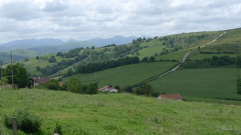 P1410005.JPG