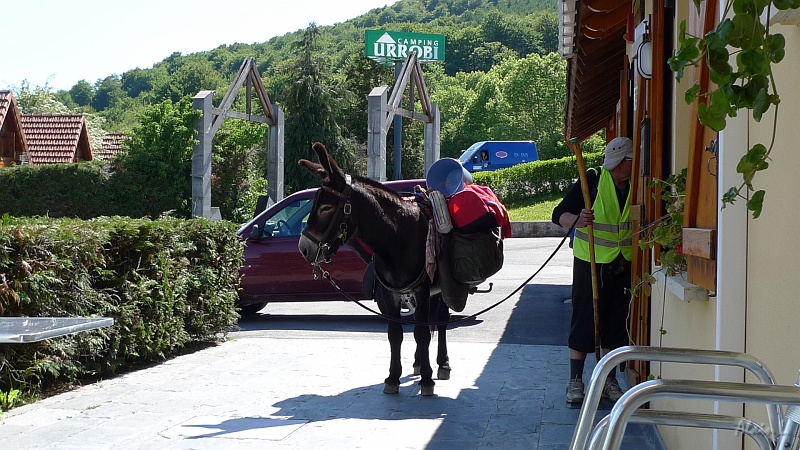 P1430028.JPG - Arrivée d'un pélerin et son âne au camping Urrobi d'Espinal
