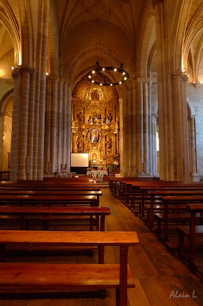 P1460029.JPG - Eglise San Miguel à Estella