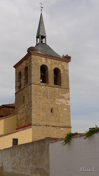 P1590010.JPG - Clocher de l'église de Mansilla de las Mulas
