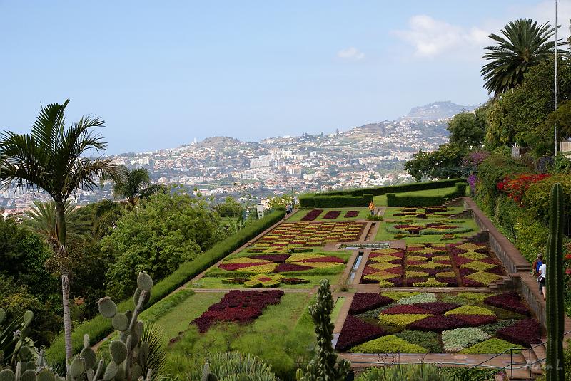 DSC04972.JPG - Le Jardin botanique est situé en léger contrebas de Monte. Il surplombe Funchal. Très beau.