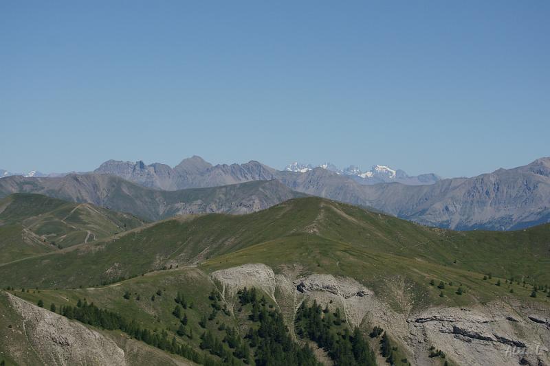 DSC00686.JPG - Au fond, les Ecrins