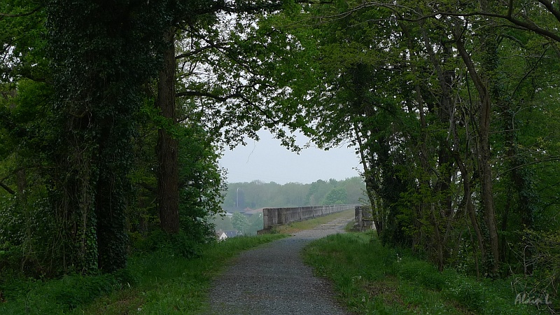 P1180002.JPG - Le chemin arrive sur le viaduc de Cluis