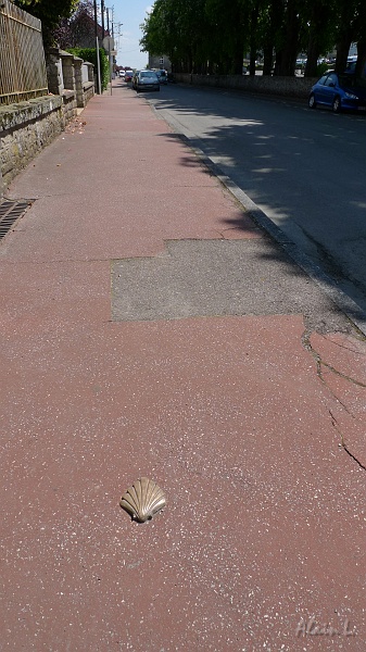 P1200023.JPG - Coquille incrustée dans le trottoir