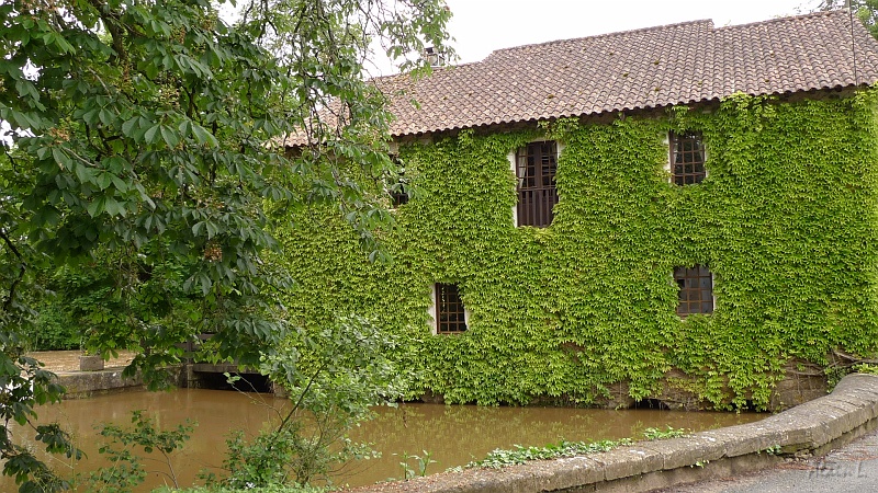 P1290018.JPG - Le moulin de Taillepetit sur l'Isle, à Anesse