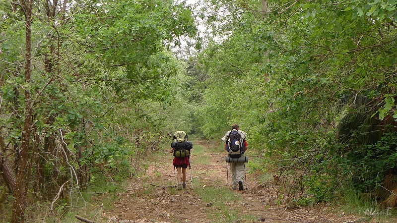 P1350007.JPG - Marleen et Michel dans les Landes