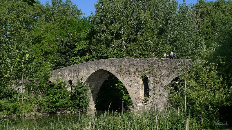 P1450010.JPG - Le pont de la Magdalena à Pamplona