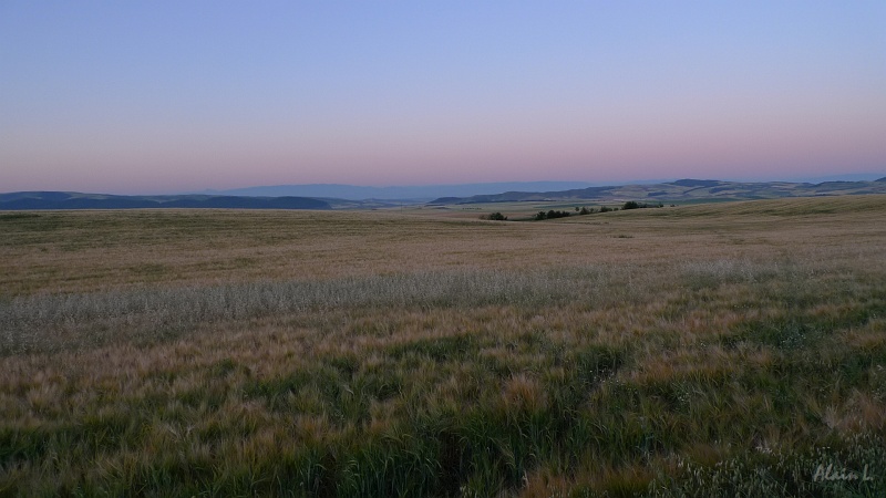 P1480001.JPG - 6h37, le ciel s'éclaircit