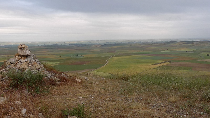 P1550013.JPG - Alto de Mostelares. Panorama vers l'Ouest: la Meseta à l'infini !