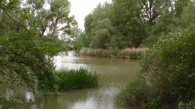 P1550022.JPG - Le río Pisuerga