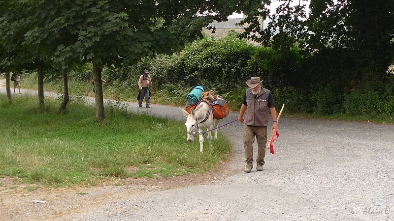 P1680011.JPG - Michel et Totoche arrivent à Barbadelo