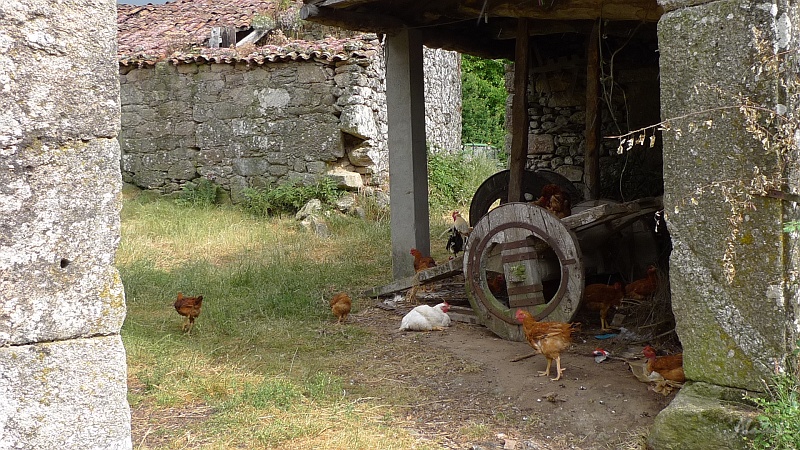 P1700030.JPG - Cour de ferme. Admirez les roues en bois